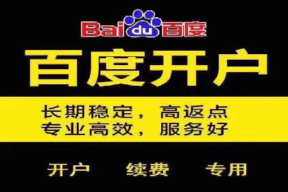某某SEM服务公司：一例广告投放的优化与成果